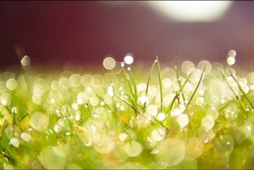 暖心写给爸爸的短句 给爸爸的一句话短句