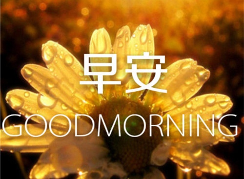 早安调皮句子 最温暖的早安心语