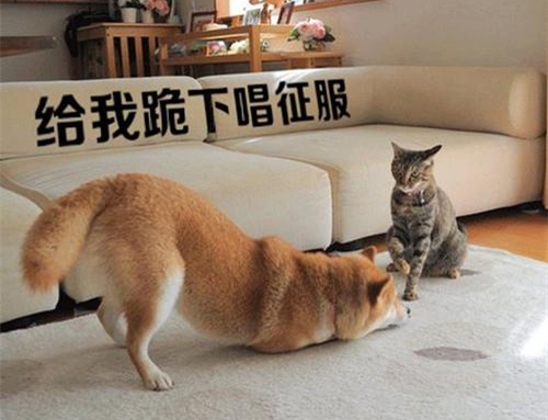 百分百逗人笑的笑话 一句话笑话逗人开心