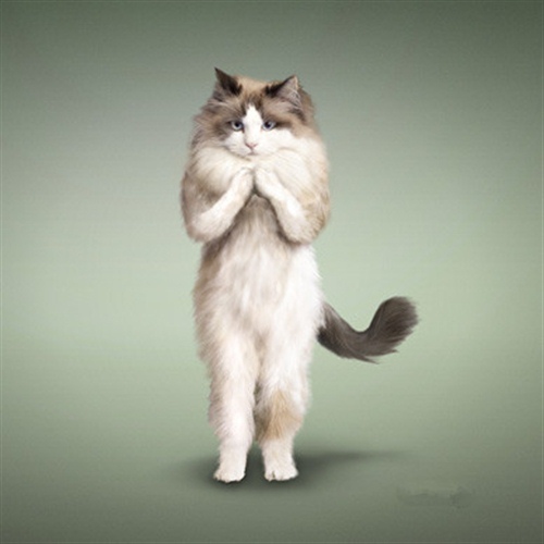 百分百逗人笑的笑话 一句话笑话逗人开心