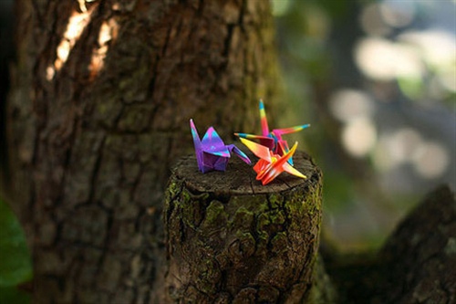 感叹朋友疏远的句子 友情越走越远的句子