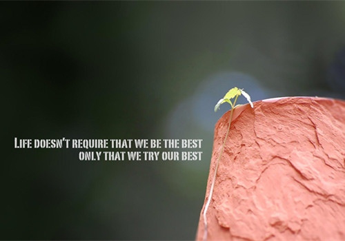 手帐扉页励志寄语 写在手帐扉页的话