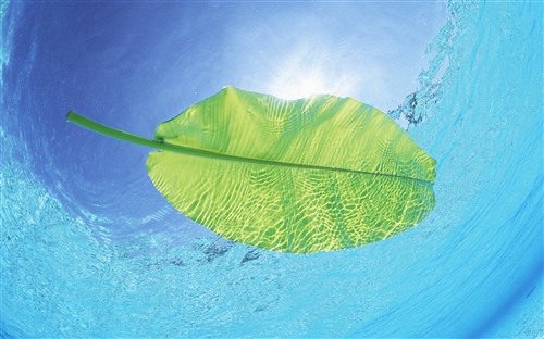 海边照片配简短文字 海边照片配什么文字