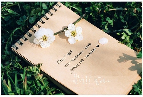 有哲理可以写在手账的句子