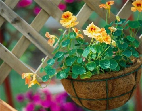 适合爱笑女孩发的朋友圈