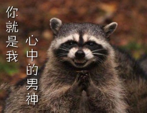 那些让你笑死的朋友圈 适合发朋友圈开心一刻