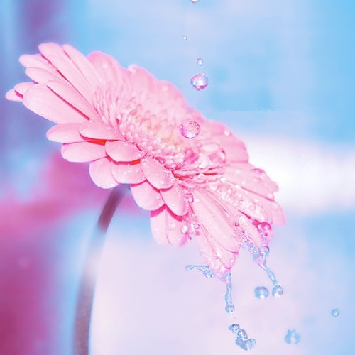 平常心对待一切的句子 保持一颗平常心的说说