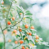 适合男人的微信头像风景图片