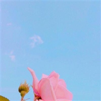 适合男人的微信头像风景图片