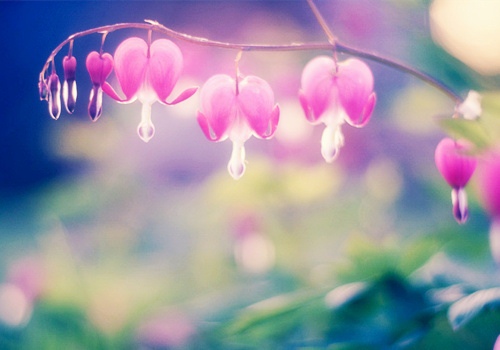 周末阳光明媚正能量的句子加图片