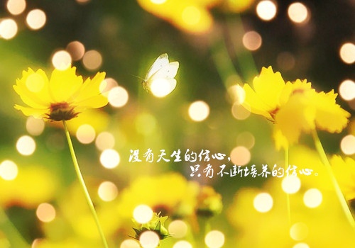 大家一起加油正能量的句子