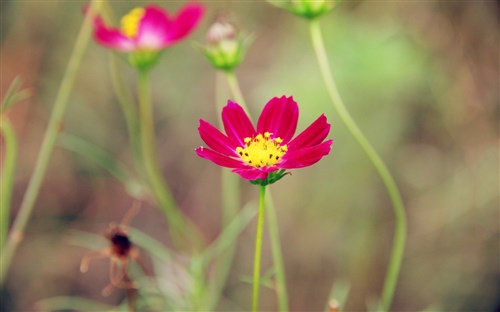 新型冠状肺炎问候语 抗击新型肺炎问候语