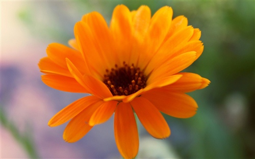 面对疫情还要上班的说说 疫情期间还在上班的说说  