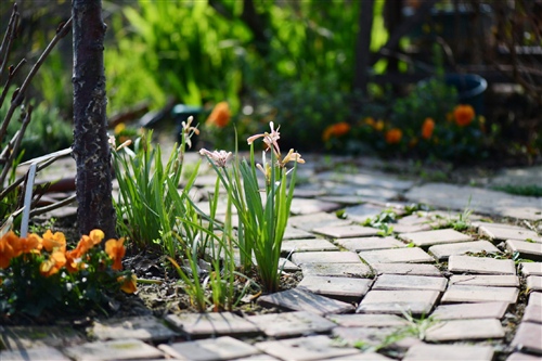 配风景照的的简短文字 一句简短的风景句子