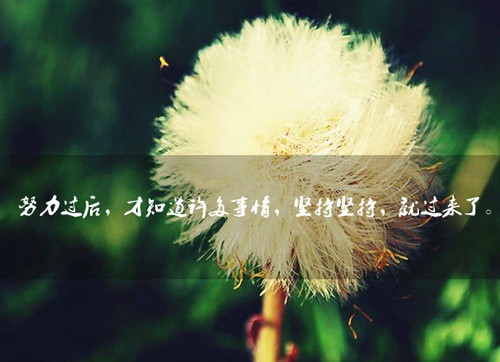 美好的一天正能量简单一句话