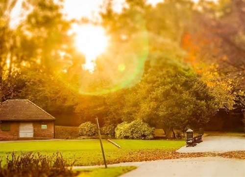 《平凡的世界》经典语录名句摘抄