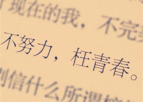 骆驼祥子老舍摘抄语句 骆驼祥子中老舍说过的话