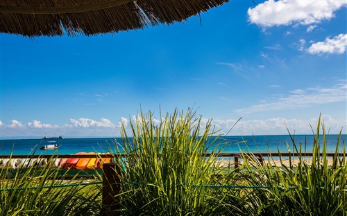 2020小红书中惊艳到你的句子