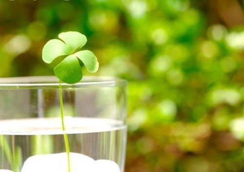 二年级好词好句好段摘抄大全