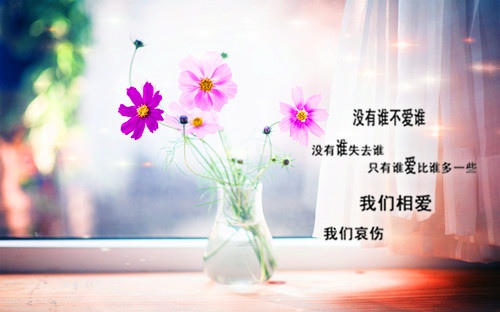 超级温柔治愈的神仙句子