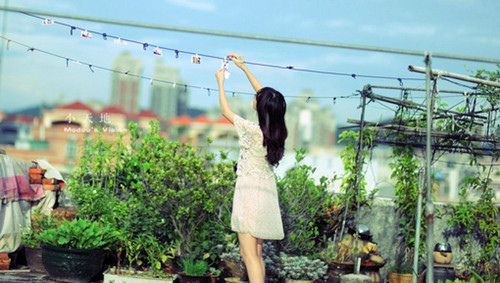 2020大暑时节祝福语