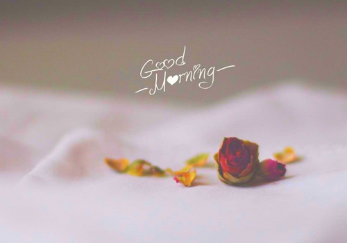 清晨的正能量励志阳光唯美句子