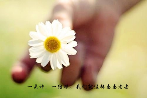 100句最让男生暖心的话