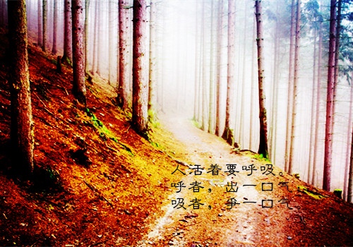 辛苦付出成就感的句子