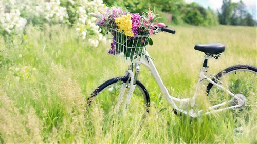 朋友圈关于单纯感悟生活经典句子