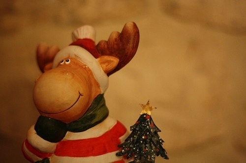 迎接元旦的到来的语录