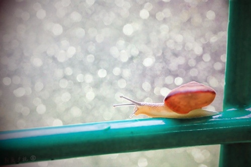 迎接2021年的祝福语