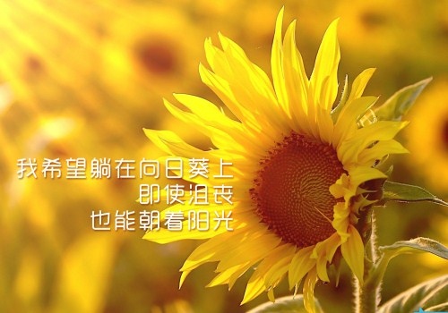 团建展望2021朋友圈文案