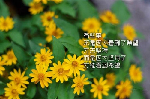 期待2021年的文案