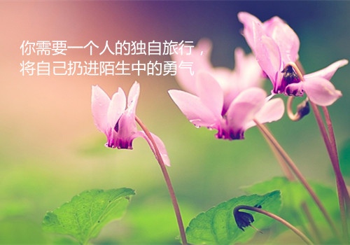 2021抖音火爆句子