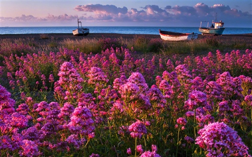 中午好高情商问候语