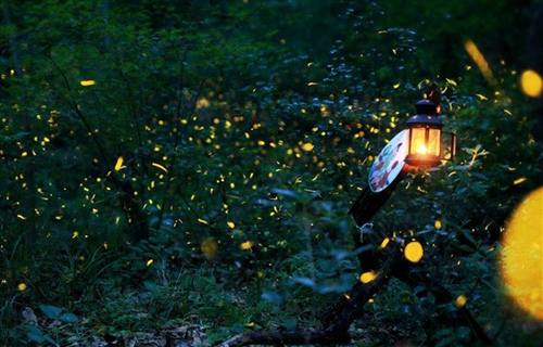 微信名字2021最好听男