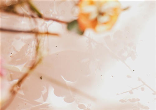 让男生毫无抵抗力撒娇的话