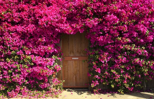 微信网名大全2021最新版的一个字两个字