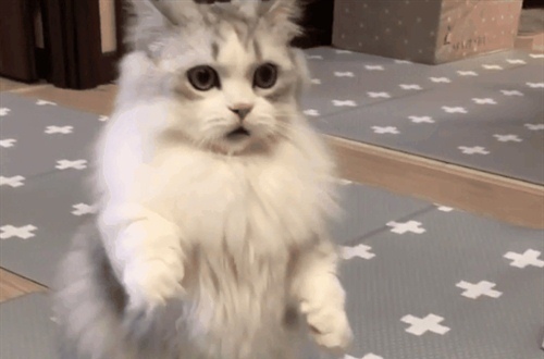 2021年爆笑沙雕文案