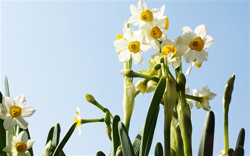 微信名字2021最好听四个字