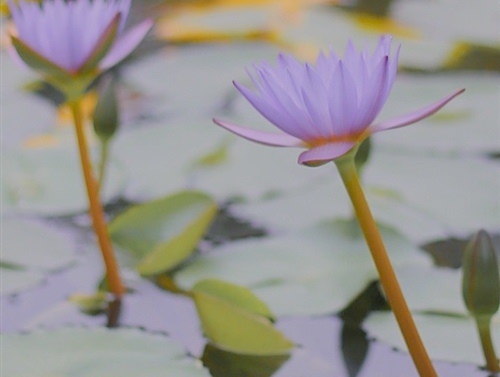 逛公园的朋友圈文案