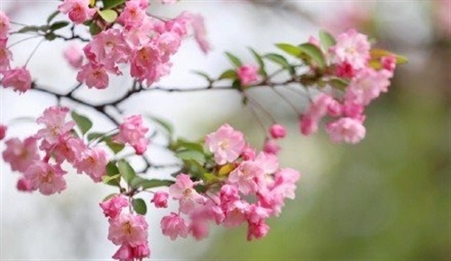 抖音配文案容易火共鸣句子