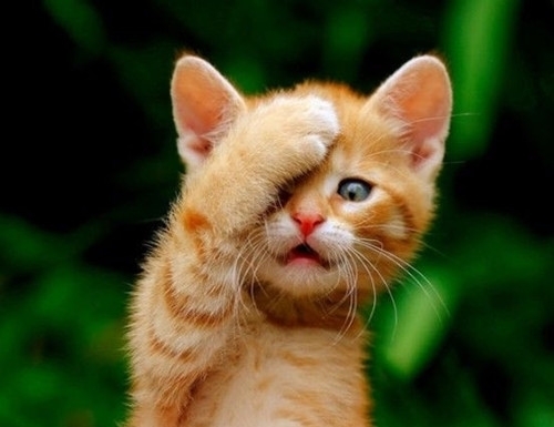 微信拍一拍搞笑句子大全