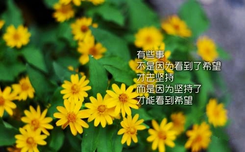 每天进步一点点的句子