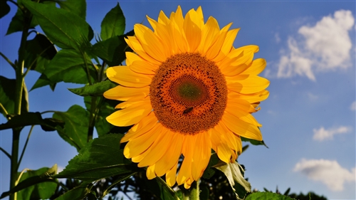 适合发自己小时候照片的文案