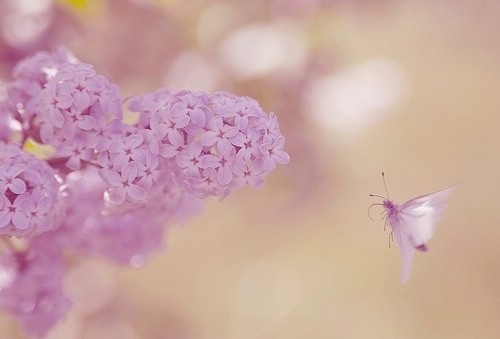 网络上的文明用语文案