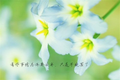 张爱玲书中的优美句子摘抄