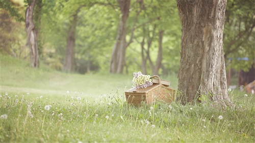 不取悦不讨好任何人的句子
