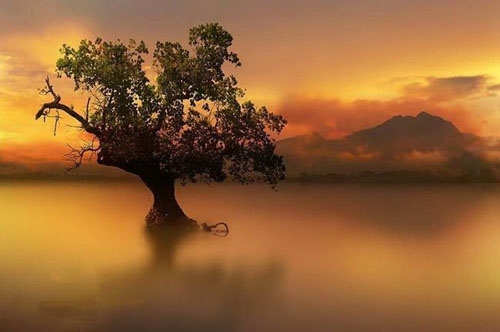 适合写在作文里的神仙句子