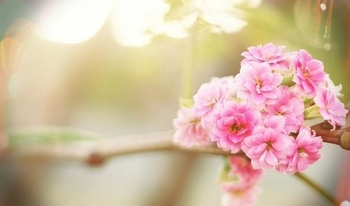 海贼王最感人的一句话